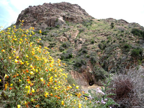 mine with flowers