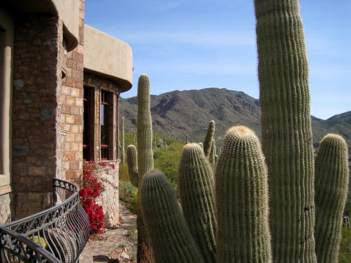 House with Cactus