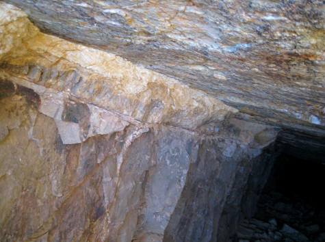 twin tunnel vein