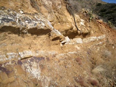 veins of the twin tunnels