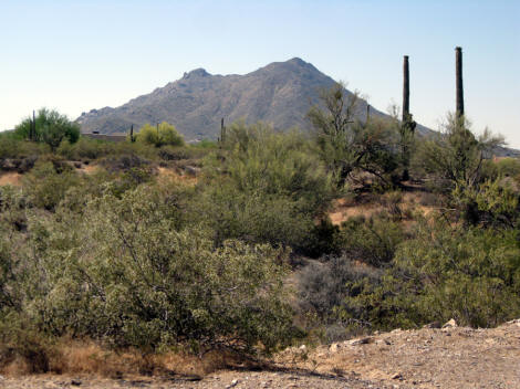 view of Black Mountain